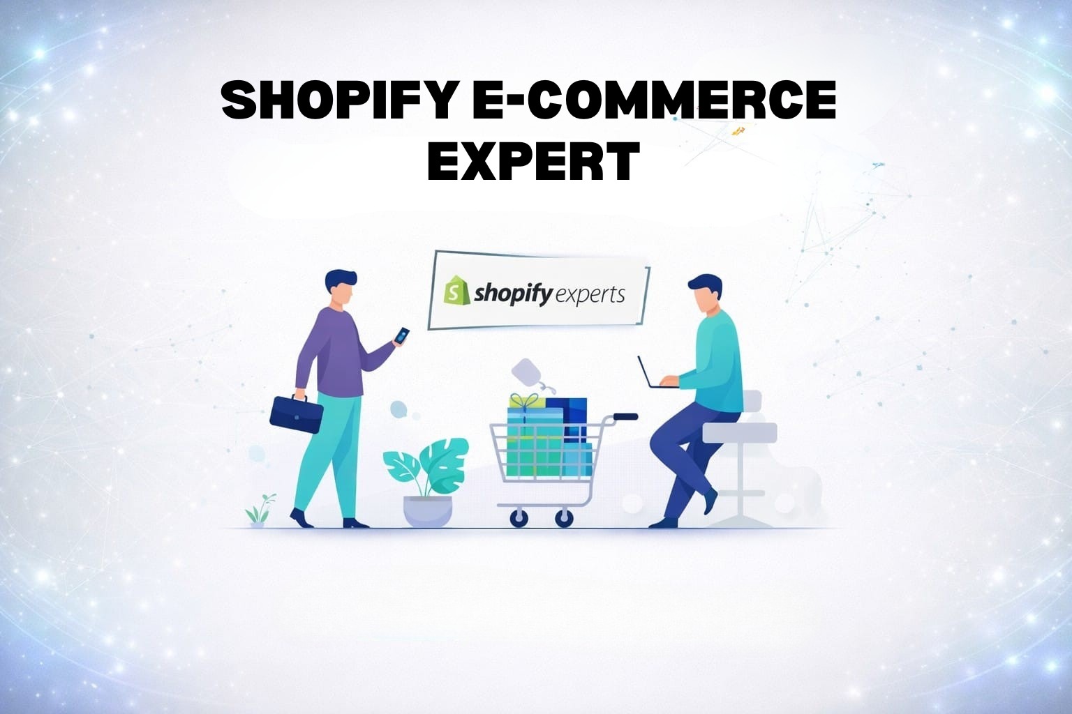 Shopify E-Commerce